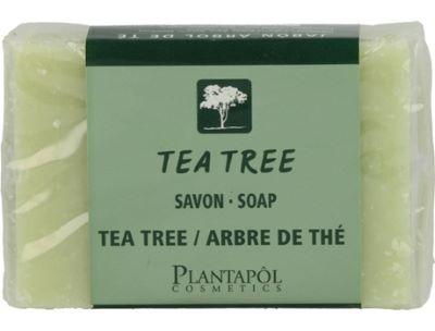 Jabón del Árbol del Té 100gr. Plantapol