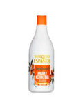 Champú Argán y Keratina 750 ml Instituto Español